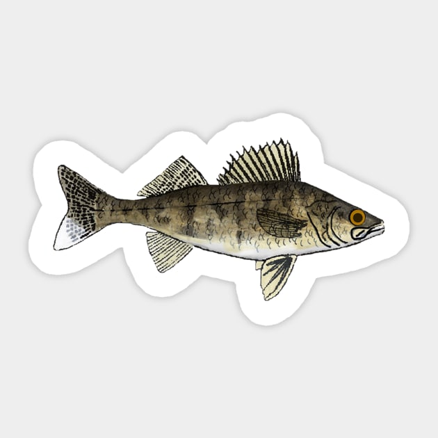 Walleye Sticker by FishFolkArt